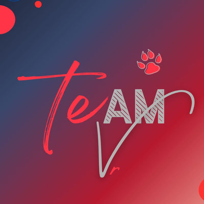 TEAM VR